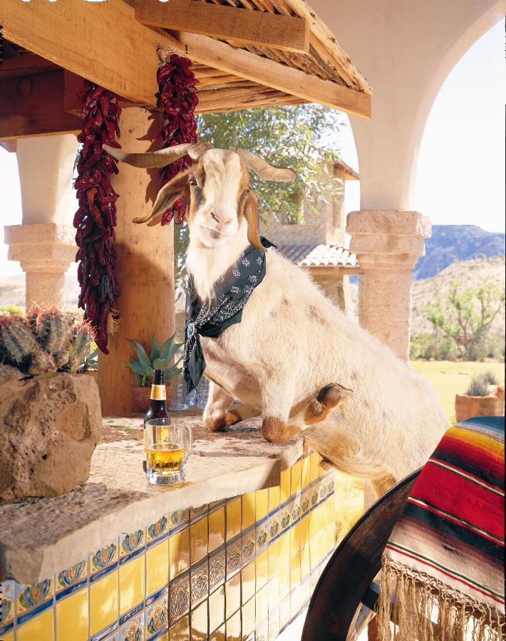 Lajitas Golf Resort Terlingua Bagian luar foto